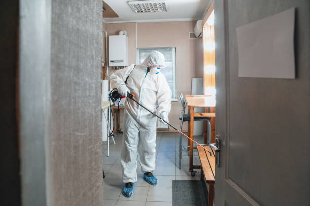 Best Mold Prevention Services  in Dowagiac, MI